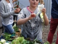 DSCF4464
